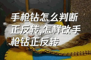 手枪钻怎么判断正反转（怎样改手枪钻正反转）