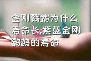 金刚鹦鹉为什么寿命长（紫蓝金刚鹦鹉的寿命）