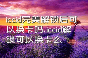 iccid完美解锁后可以换卡吗（iccid解锁可以换卡么）