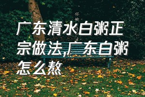 广东清水白粥正宗做法（广东白粥怎么熬）