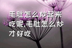 毛肚怎么炒起来吃呢（毛肚怎么炒才好吃）