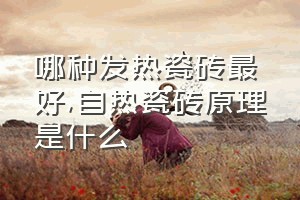 哪种发热瓷砖最好（自热瓷砖原理是什么）