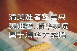 清美难考还是央美难考（清华美院属于清华大学吗）