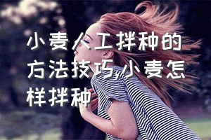 小麦人工拌种的方法技巧（小麦怎样拌种）