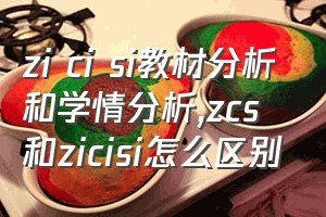 zi ci si教材分析和学情分析（zcs和zicisi怎么区别）