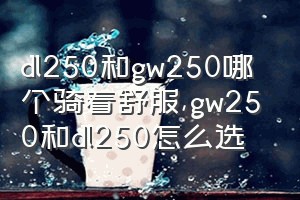 dl250和gw250哪个骑着舒服（gw250和dl250怎么选）