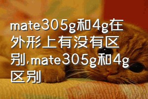 mate305g和4g在外形上有没有区别（mate305g和4g区别）