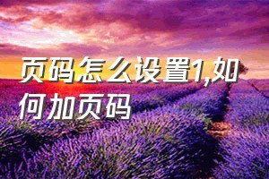 页码怎么设置1（如何加页码）