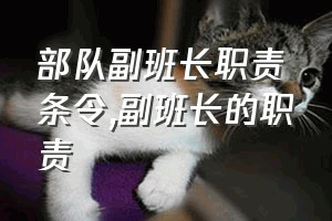 部队副班长职责条令（副班长的职责）