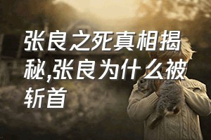 张良之死真相揭秘（张良为什么被斩首）