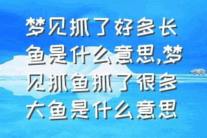 梦见抓了好多长鱼是什么意思（梦见抓鱼抓了很多大鱼是什么意思）