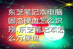 东芝笔记本电脑固态硬盘怎么识别（东芝笔记本怎么分硬盘）