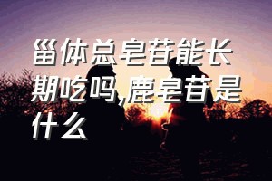 甾体总皂苷能长期吃吗（鹿皂苷是什么）