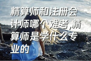 精算师和注册会计师哪个难考（精算师是学什么专业的）