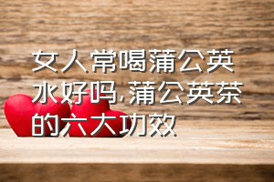 女人常喝蒲公英水好吗（蒲公英茶的六大功效）