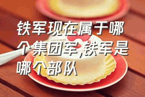 铁军现在属于哪个集团军（铁军是哪个部队）