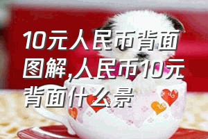 10元人民币背面图解（人民币10元背面什么景）