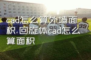 cad怎么算外墙面积（回旋体cad怎么算面积）