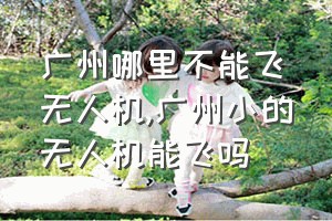 广州哪里不能飞无人机（广州小的无人机能飞吗）