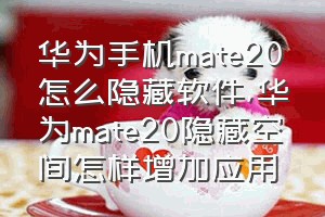 华为手机mate20怎么隐藏软件（华为mate20隐藏空间怎样增加应用）