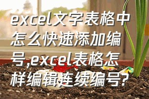 excel文字表格中怎么快速添加编号（excel表格怎样编辑连续编号?）