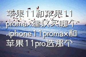 苹果11和苹果11promax建议买哪个（iphone11promax和苹果11pro选那个）