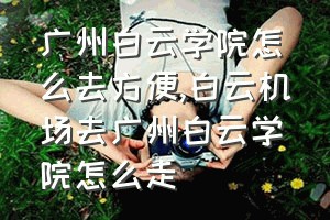 广州白云学院怎么去方便（白云机场去广州白云学院怎么走）