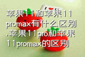 苹果11和苹果11promax有什么区别（苹果11pro和苹果11promax的区别）