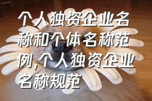 个人独资企业名称和个体名称范例（个人独资企业名称规范）