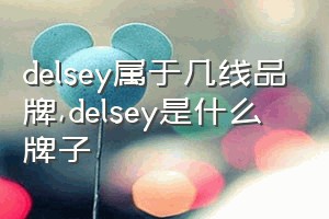 delsey属于几线品牌（delsey是什么牌子）