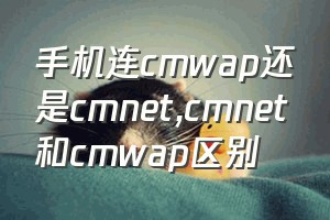 手机连cmwap还是cmnet（cmnet和cmwap区别）