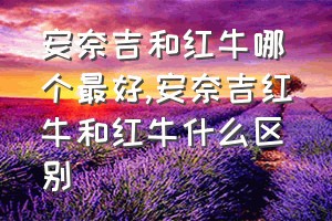 安奈吉和红牛哪个最好（安奈吉红牛和红牛什么区别）