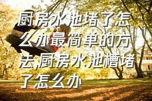 厨房水池堵了怎么办最简单的方法（厨房水池槽堵了怎么办）