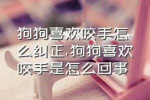 狗狗喜欢咬手怎么纠正（狗狗喜欢咬手是怎么回事）