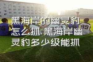 黑海岸的幽灵豹怎么抓（黑海岸幽灵豹多少级能抓）