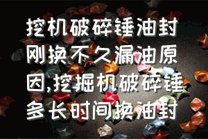 挖机破碎锤油封刚换不久漏油原因（挖掘机破碎锤多长时间换油封）