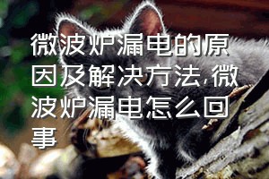 微波炉漏电的原因及解决方法（微波炉漏电怎么回事）