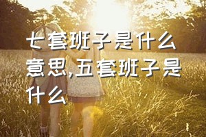 七套班子是什么意思（五套班子是什么）