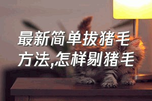 最新简单拔猪毛方法（怎样剔猪毛）