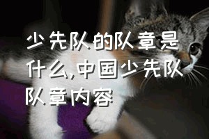 少先队的队章是什么（中国少先队队章内容）