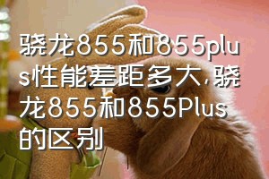 骁龙855和855plus性能差距多大（骁龙855和855Plus的区别）