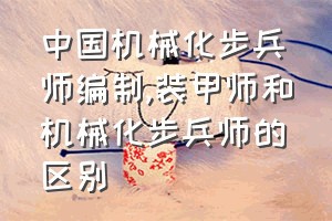 中国机械化步兵师编制（装甲师和机械化步兵师的区别）