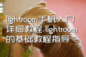 lightroom手机入门详细教程（lightroom的基础教程指导）