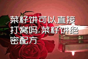 菜籽饼可以直接打窝吗（菜籽饼绝密配方）