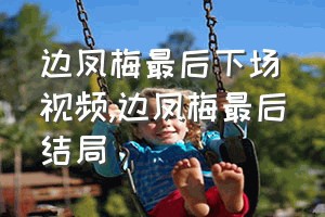 边凤梅最后下场视频（边凤梅最后结局）