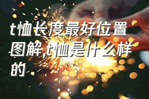 t恤长度最好位置图解（t恤是什么样的）