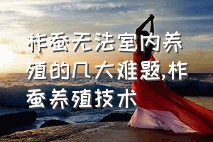 柞蚕无法室内养殖的几大难题（柞蚕养殖技术）