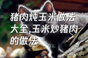 猪肉炖玉米做法大全（玉米炒猪肉的做法）