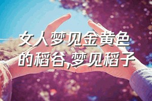 女人梦见金黄色的稻谷（梦见稻子）