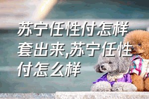 苏宁任性付怎样套出来（苏宁任性付怎么样）